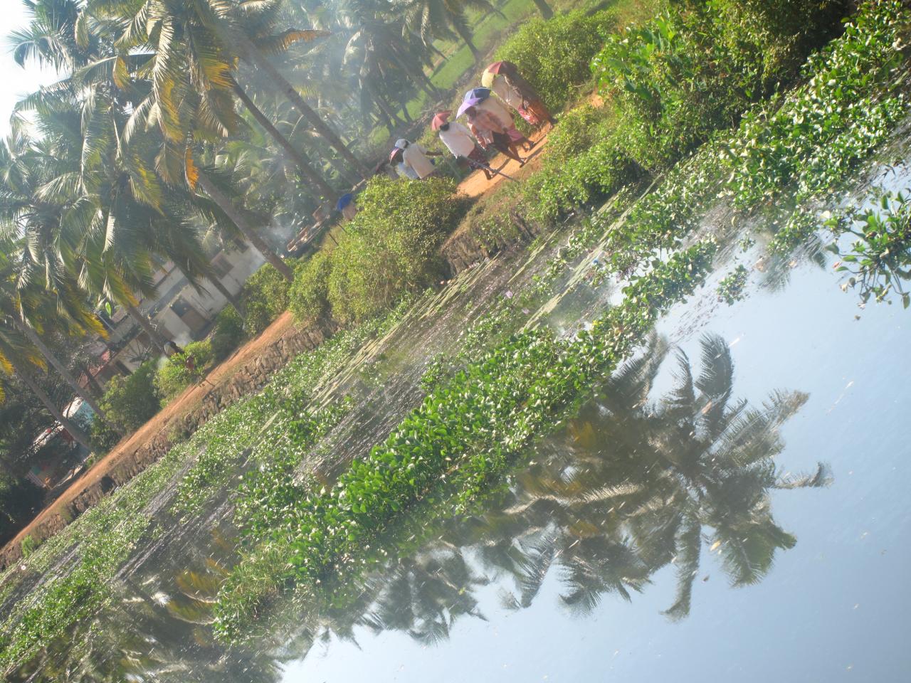 Le long des backwaters