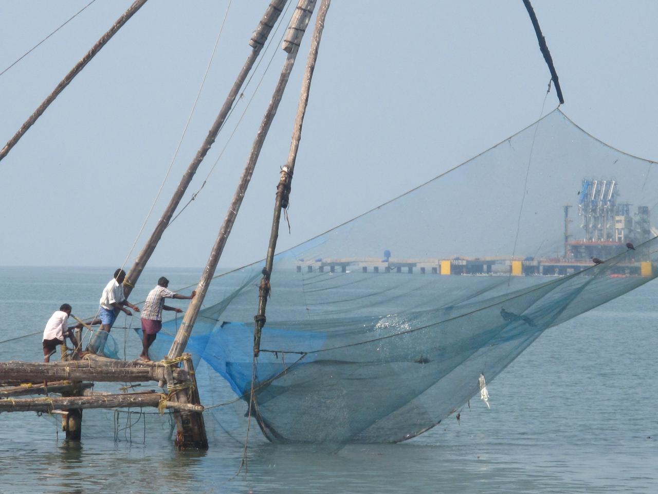 Filets de pêche chinois, Kochi