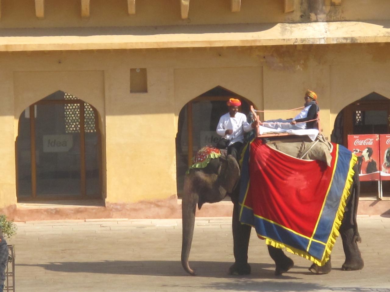 Elephants taxi vers le Fort D'Amber