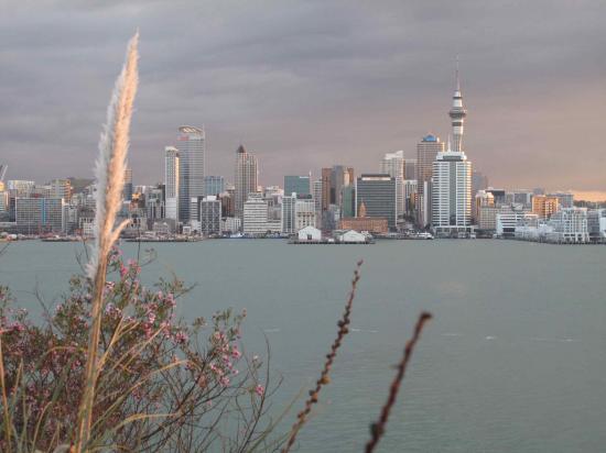 Auckland au crépuscule