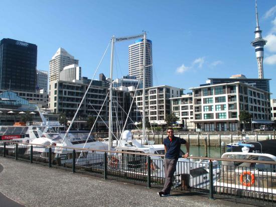 Viaduct harbour