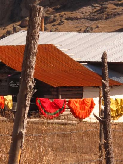 Jupons au soleil, vallée Tarahumara