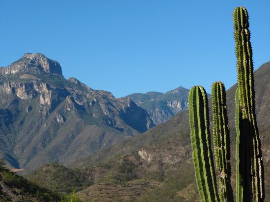 Urique