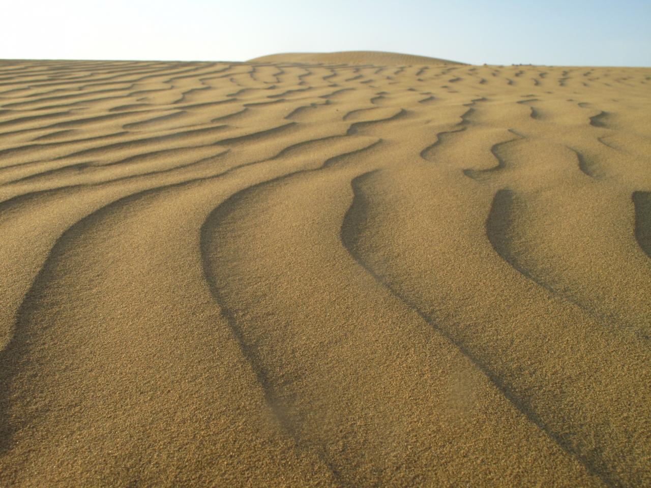 Désert du Thar