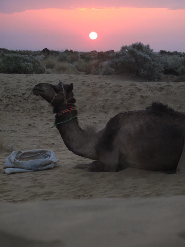 Lever de soleil dans le désert du Thar (Ouest)
